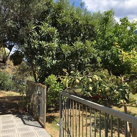Casa Olive